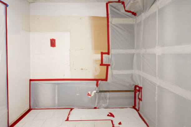 Reliable Newman, CA Mold Removal Solutions